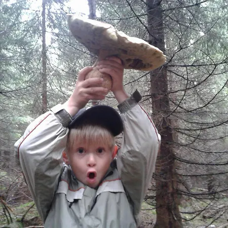Daire Karel A Martina